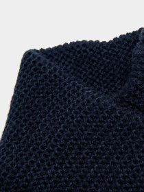 Хомут COOL CLUB модель CAB2302283 Фото