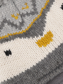 Шапка COOL CLUB модель CAB2331873 Фото