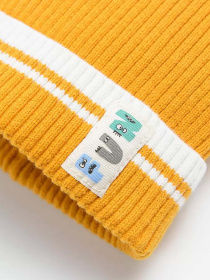 Шапка COOL CLUB модель CAB2500496 Фото