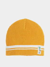 Шапка COOL CLUB модель CAB2500496 Фото