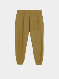 Джоггеры COOL CLUB модель CCB2512109 Фото