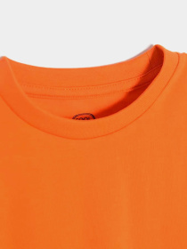 Лонгслив COOL CLUB модель CCB2512131 Фото