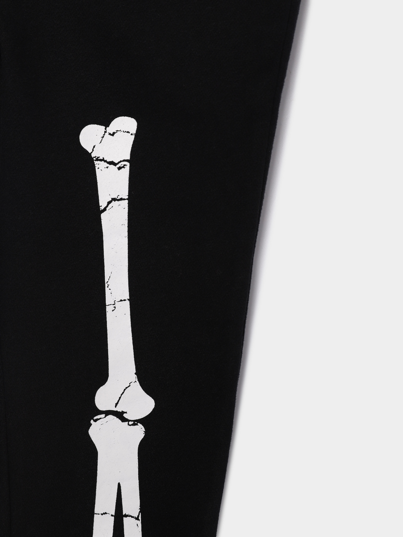 Джогери COOL CLUB модель CCB2512303 Фото