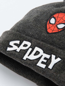 Шапка COOL CLUB модель LAB2530901 Фото