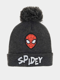 Шапка COOL CLUB модель LAB2530901 Фото