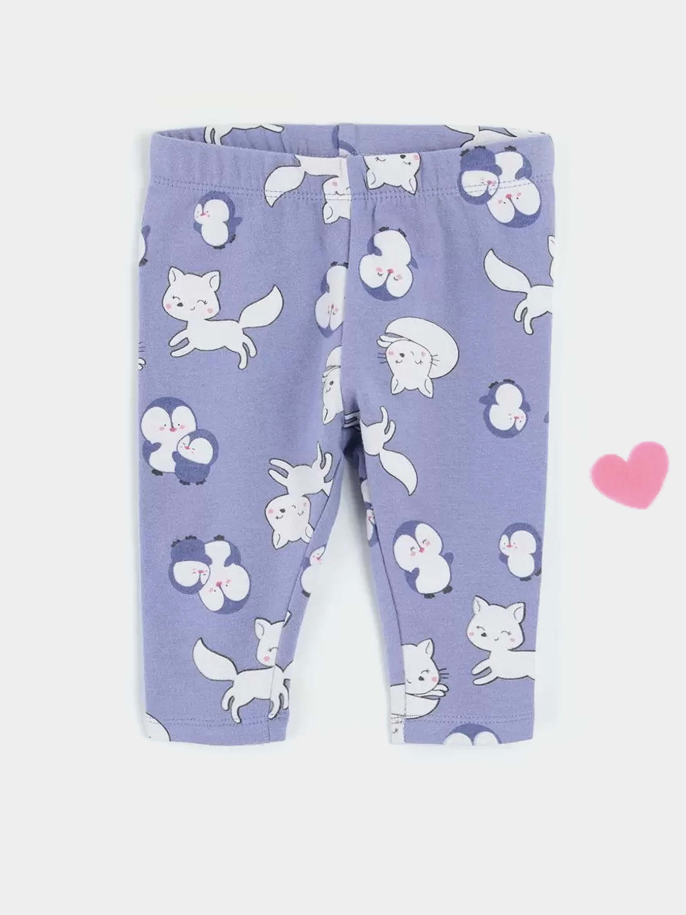 Леггинсы COOL CLUB модель CCG2502262-00 Фото