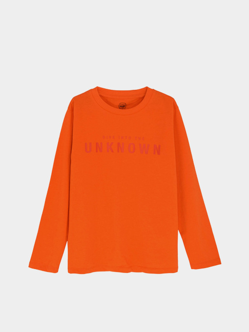 Лонгслив COOL CLUB модель CCB2520207 Фото