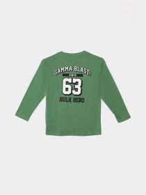 Лонгслив COOL CLUB модель LCB2510046-00 Фото