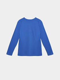 Лонгслив COOL CLUB модель CCB2522288 Фото