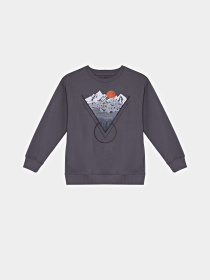 Світшот COOL CLUB модель CCB2522318 Фото