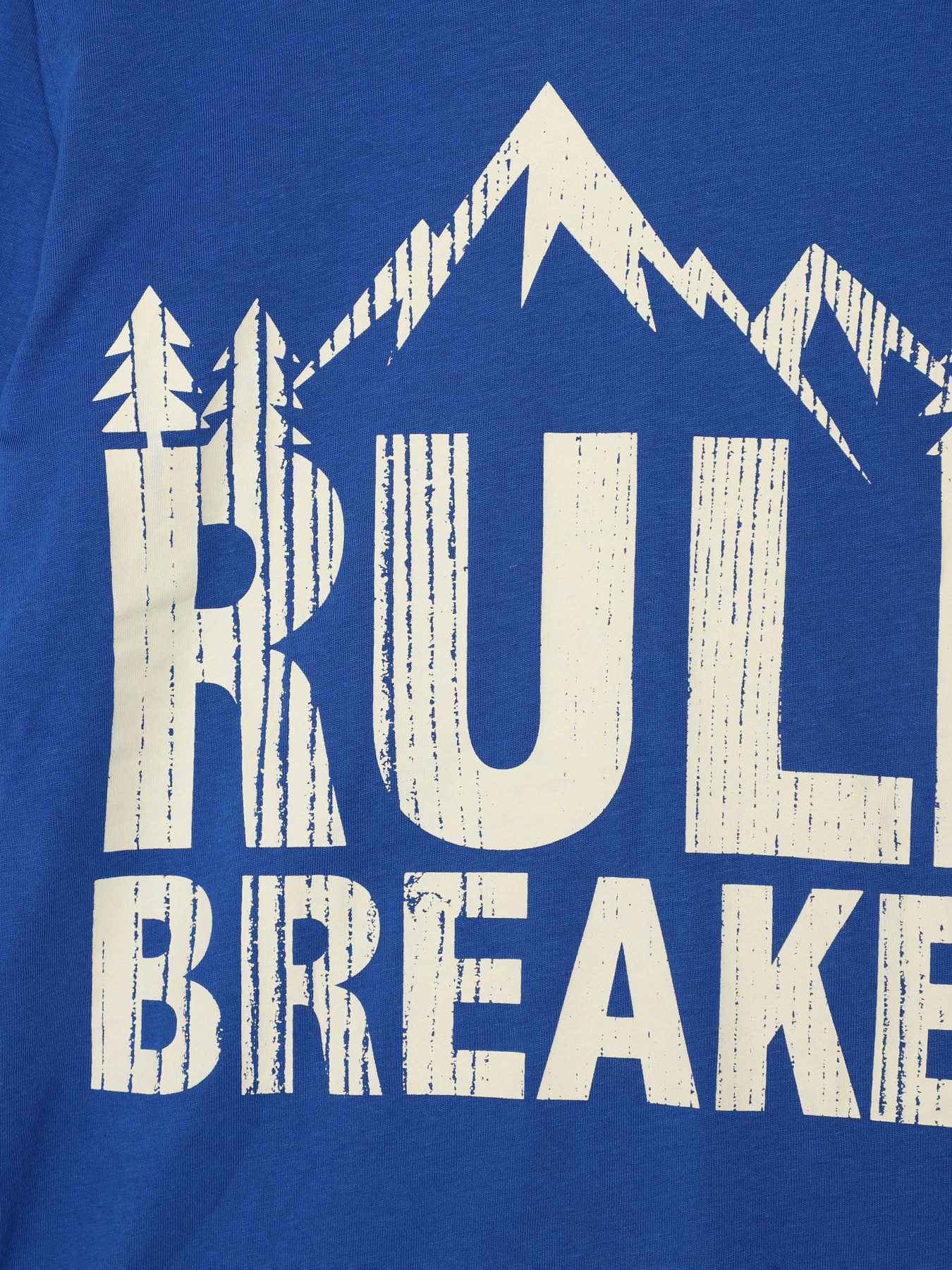 Лонгслив COOL CLUB модель CCB2522321 Фото