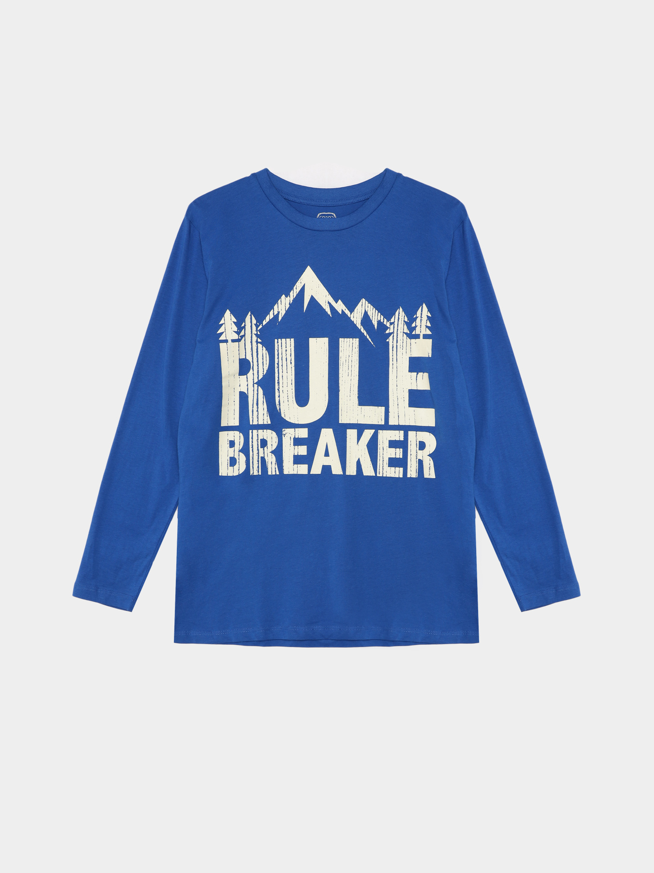 Лонгслив COOL CLUB модель CCB2522321 Фото