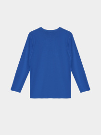 Лонгслив COOL CLUB модель CCB2522321 Фото