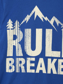 Лонгслив COOL CLUB модель CCB2522321 Фото