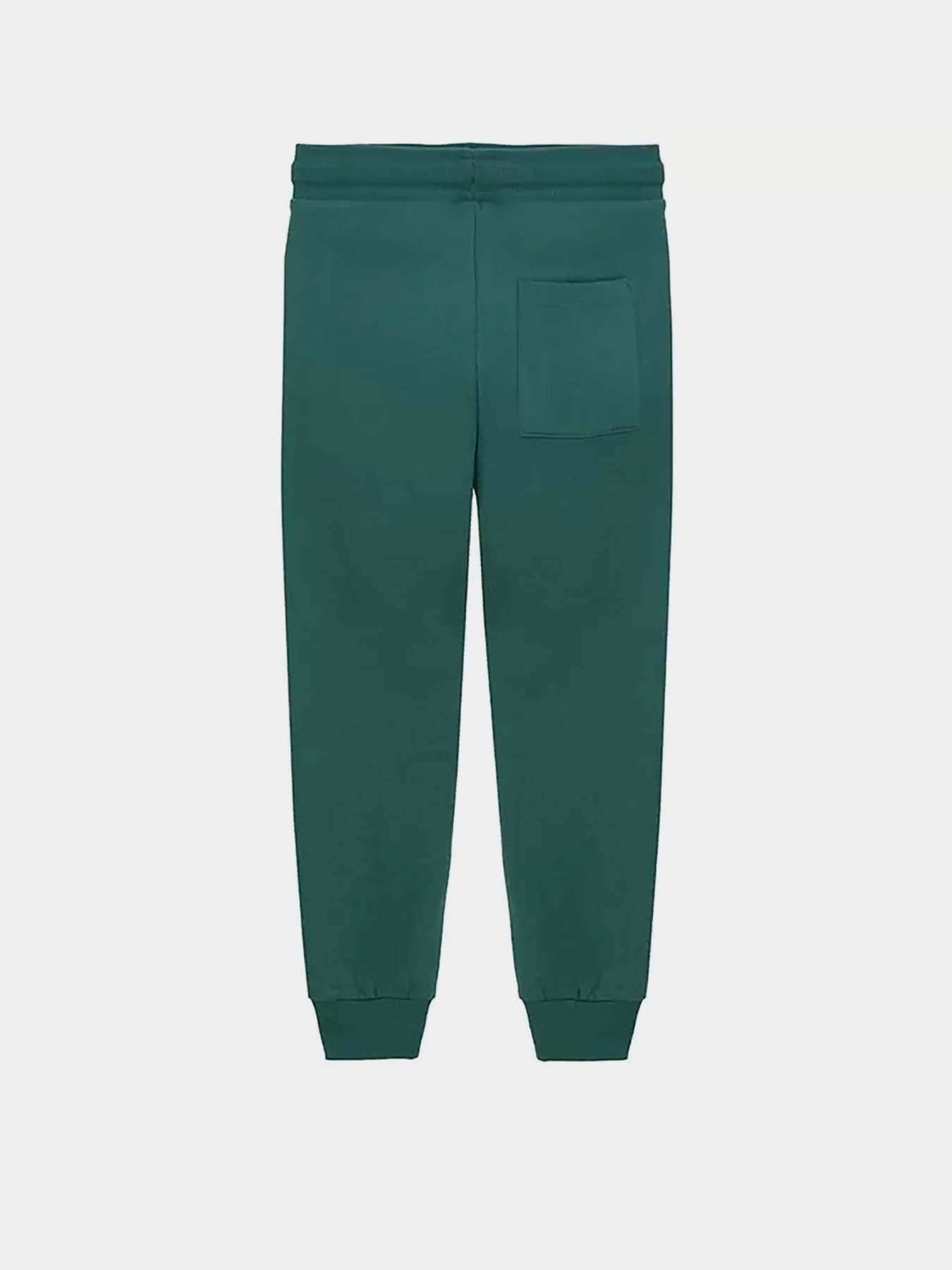 Джоггеры COOL CLUB модель CCB2522971 Фото