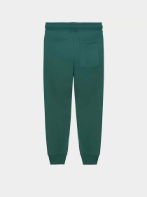 Джоггеры COOL CLUB модель CCB2522971 Фото