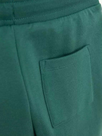 Джоггеры COOL CLUB модель CCB2522971 Фото