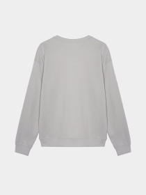 Свитшот COOL CLUB модель CCB2523141 Фото