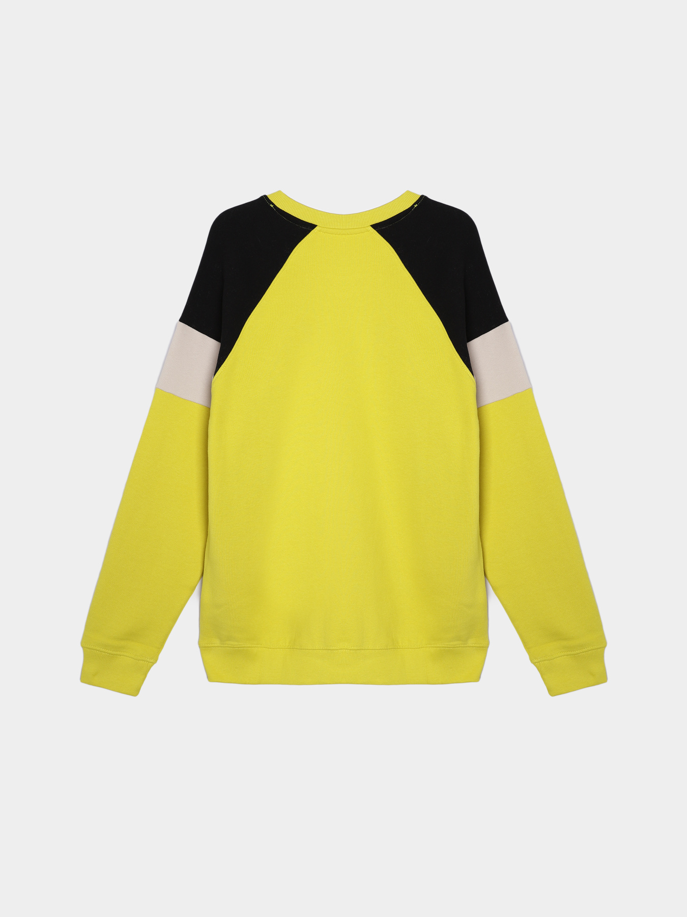 Свитшот COOL CLUB модель CCB253456 Свитшот COOL CLUB модель CCB253456 Фото