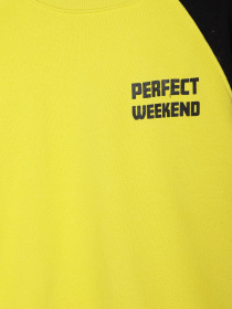 Свитшот COOL CLUB модель CCB253456 Свитшот COOL CLUB модель CCB253456 Фото