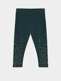 Леггинсы COOL CLUB модель CCG2313106 Фото