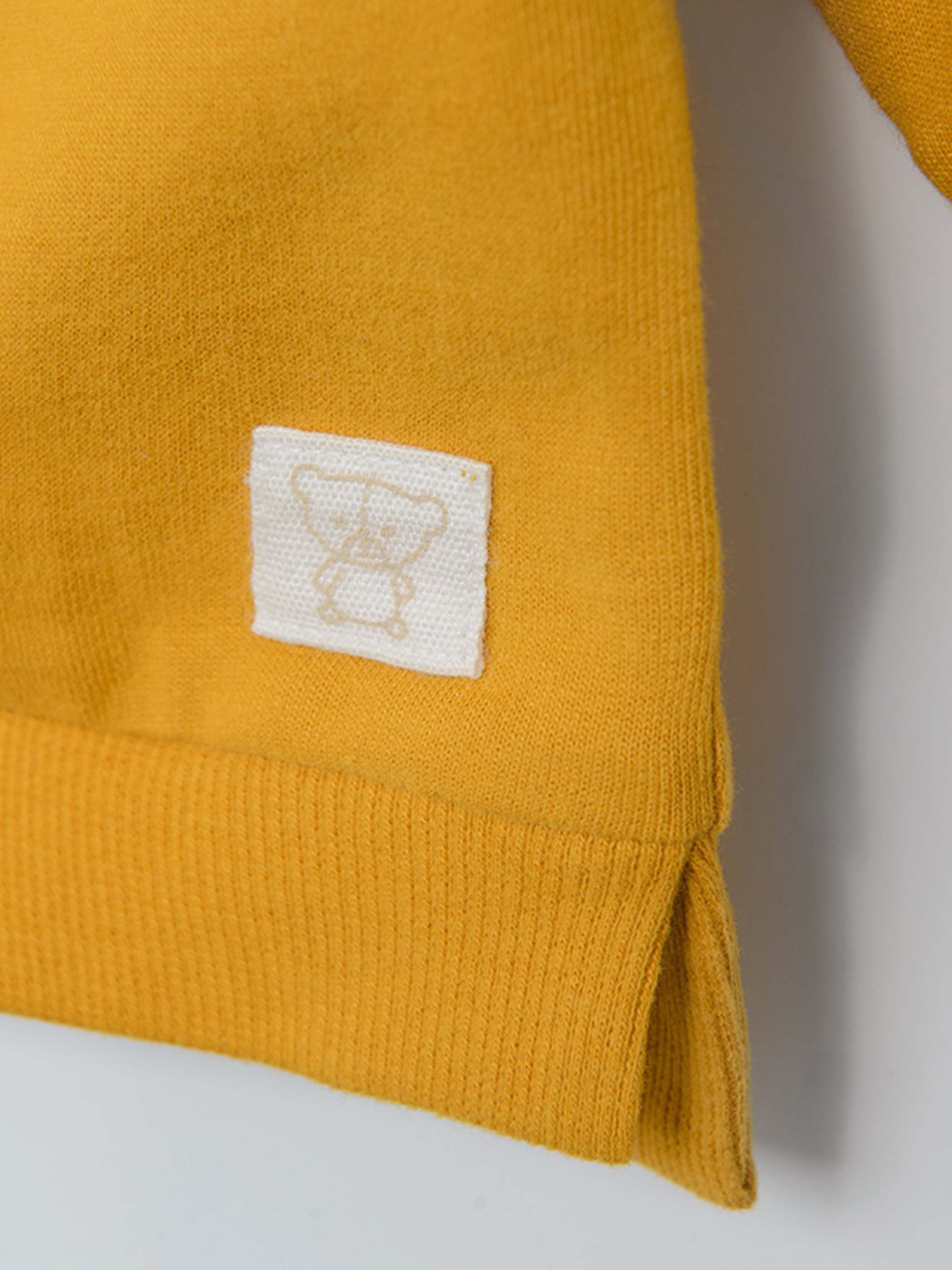 Свитшот COOL CLUB модель CCB2500321 Фото