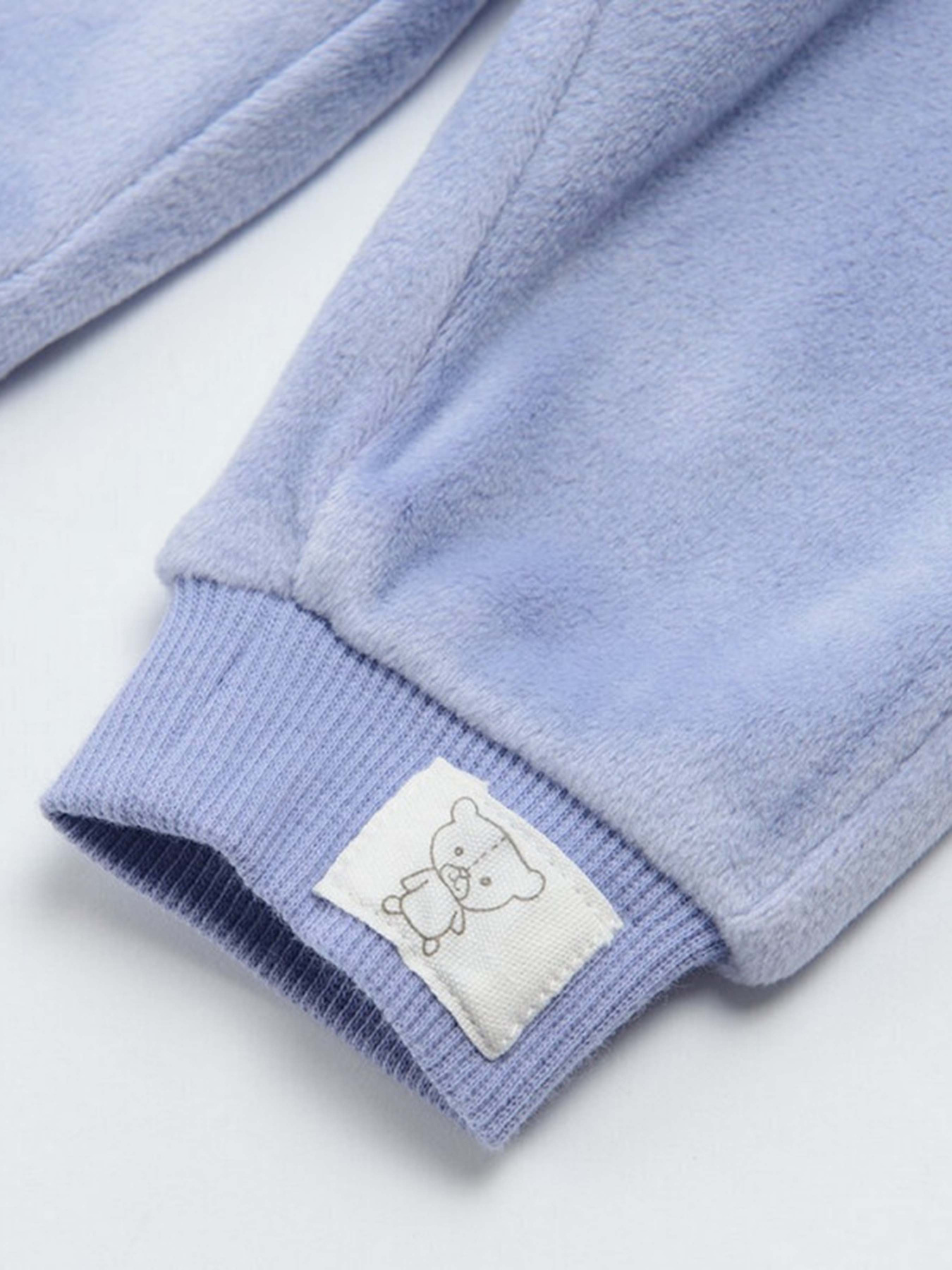 Джоггеры COOL CLUB модель CCG2502270 Фото