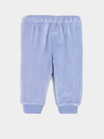 Джоггеры COOL CLUB модель CCG2502270 Фото