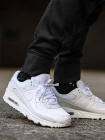 Кроссовки NIKE Air Max 90 модель CN8490-100 Фото
