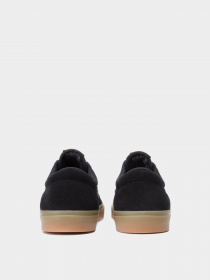 Кеды низкие NIKE SB Chron Solarsoft модель CD6278-006 Фото