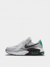 Кросівки NIKE AIR MAX EXCEE модель CD4165-014 Фото