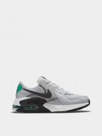 Кросівки NIKE AIR MAX EXCEE модель CD4165-014 Фото