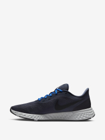 Кросівки для бігу NIKE Revolution 5 модель BQ3204-404 Фото