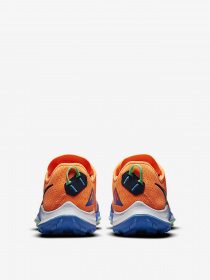 Кроссовки для бега NIKE Air Zoom Terra Kiger 7 модель CW6062-800 Фото