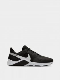 Кроссовки для тренировок NIKE Legend Essential 2 модель CQ9356-001 Фото