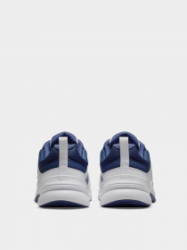 Кросівки NIKE Defy All Day модель DJ1196-100 Фото