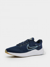 Кроссовки для бега NIKE Downshifter 12 модель DD9293-400 Фото