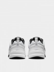 Кросівки NIKE Defy All Day модель DM7564-100 Фото