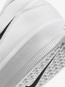 Кеды низкие NIKE SB Force 58 Premium модель DH7505-101 Фото