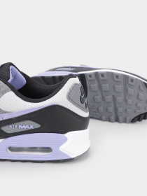 Кросівки NIKE Air Max 90 модель DM0029-014 Фото