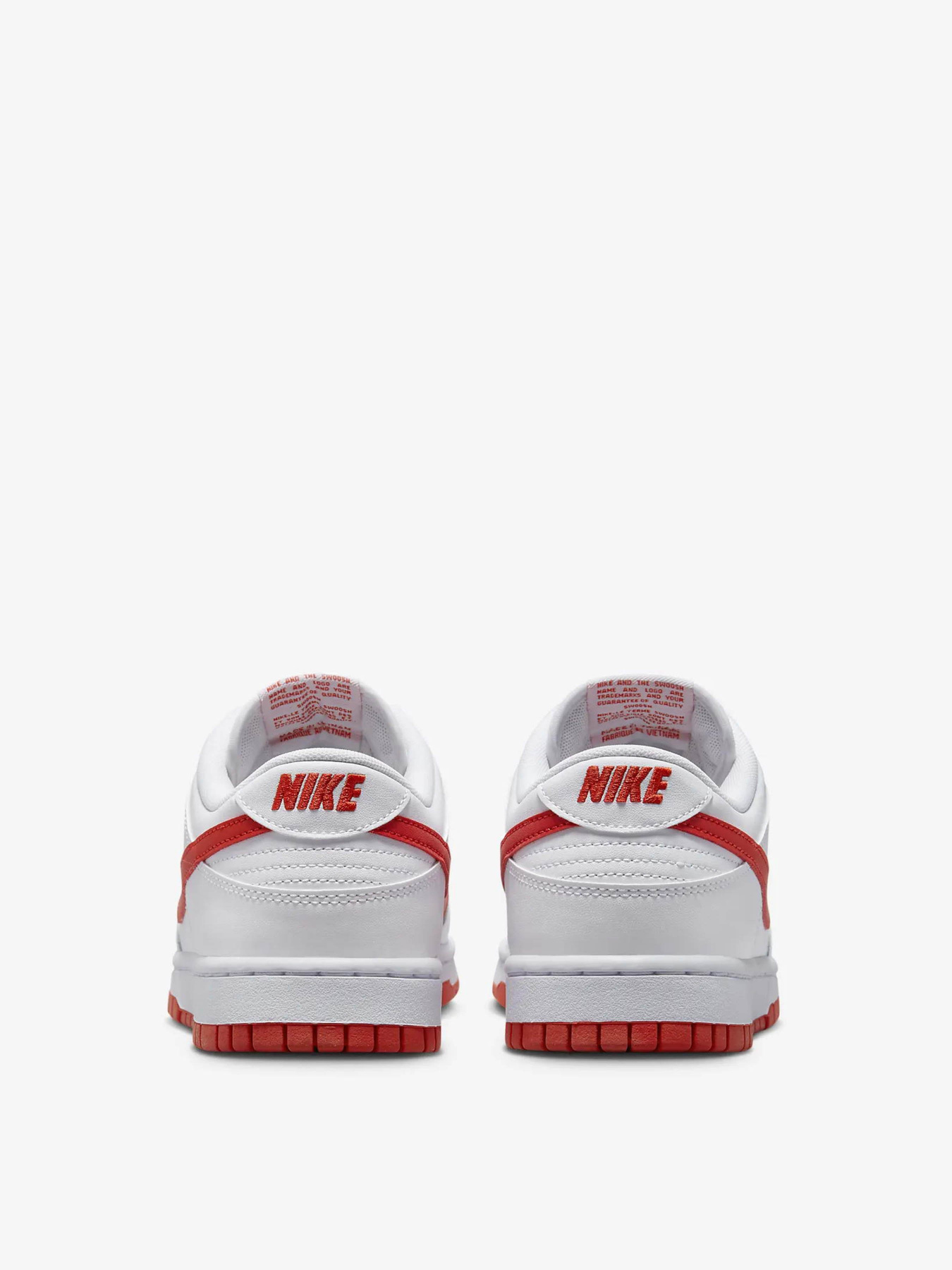 Кеды низкие NIKE Dunk Low Retro модель DV0831-103 Фото