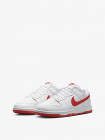 Кеды низкие NIKE Dunk Low Retro модель DV0831-103 Фото