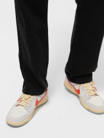 Кеды низкие NIKE Dunk Low 85 модель FJ5429-133 Фото