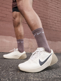 Кросівки для тренувань NIKE Air Zoom Tr 1 модель DX9016-006 Фото