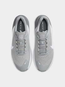 Кроссовки для тренировок NIKE Air Zoom TR1 модель DX9016-003 Фото