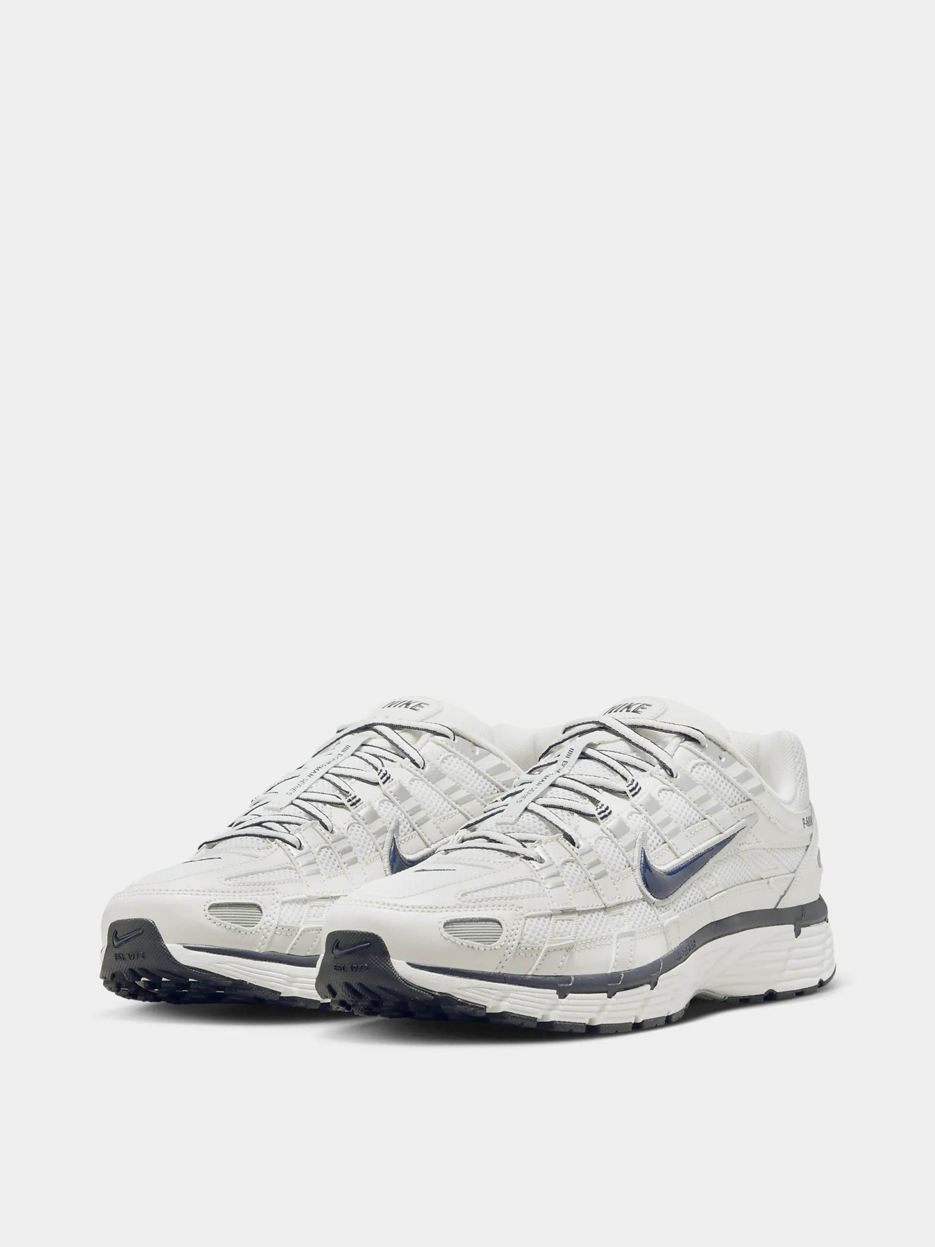 Кроссовки NIKE P-6000 модель CD6404-018 Фото