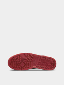 Кеды высокие NIKE AIR JORDAN 1 MID модель DQ8426-061 Фото