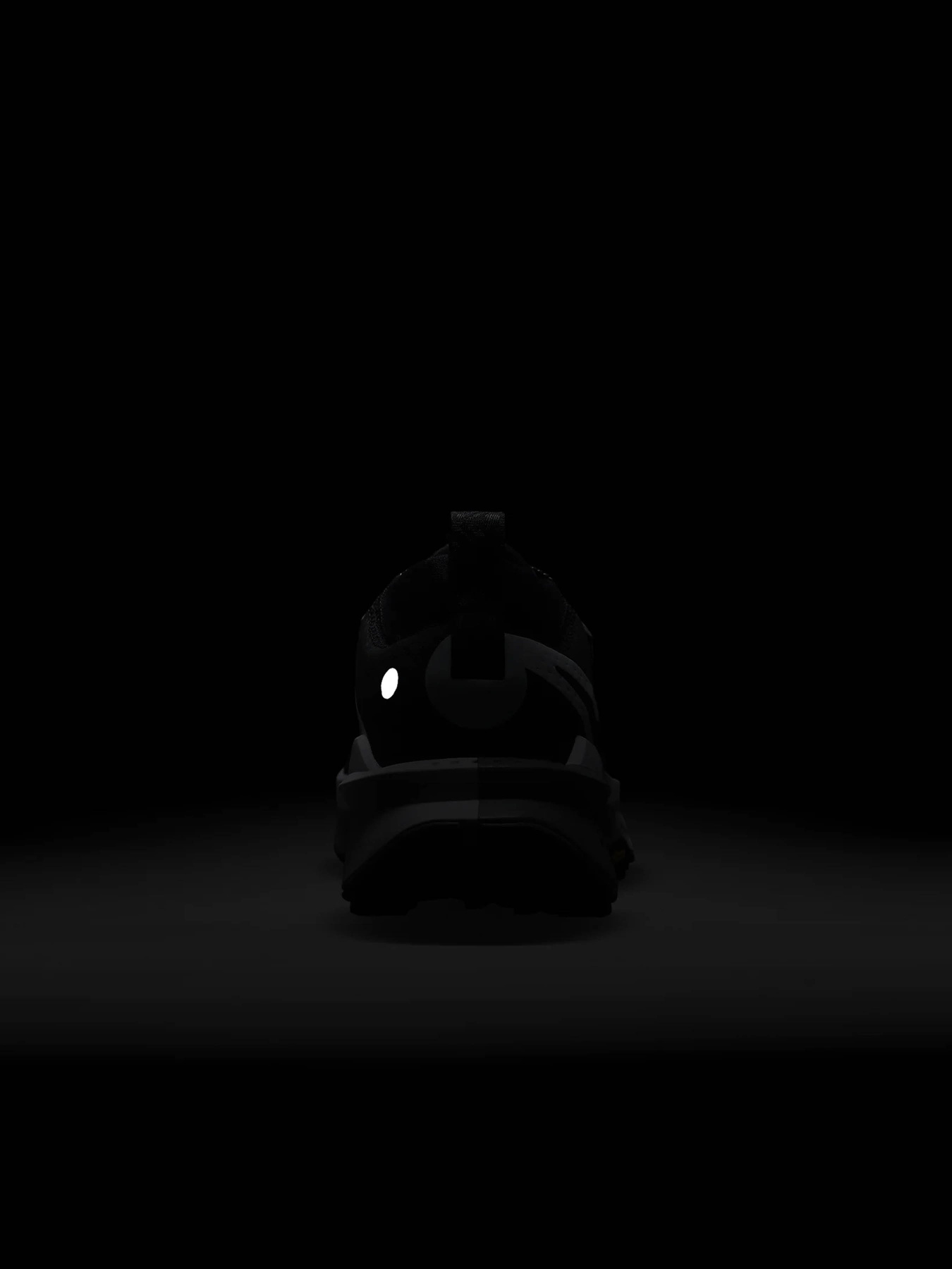 Кроссовки NIKE Zegama 2 модель FD5190-001 Фото