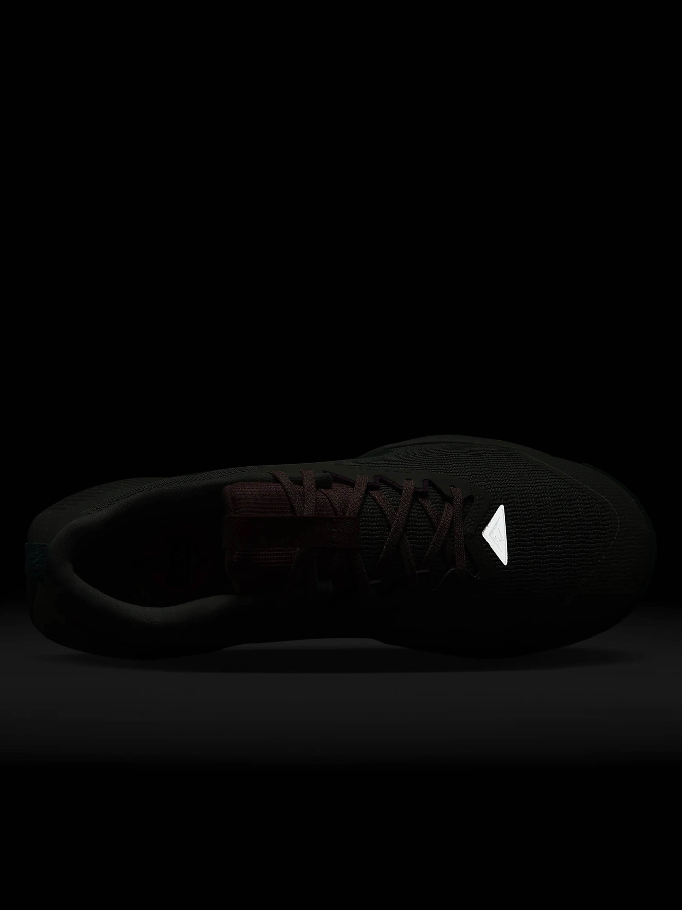 Кросівки повсякденні NIKE JUNIPER TRAIL 3 модель FQ0904-300 Фото