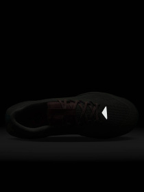 Кросівки повсякденні NIKE JUNIPER TRAIL 3 модель FQ0904-300 Фото